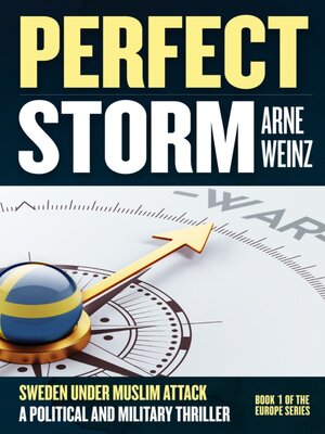 cover image of Perfect Storm